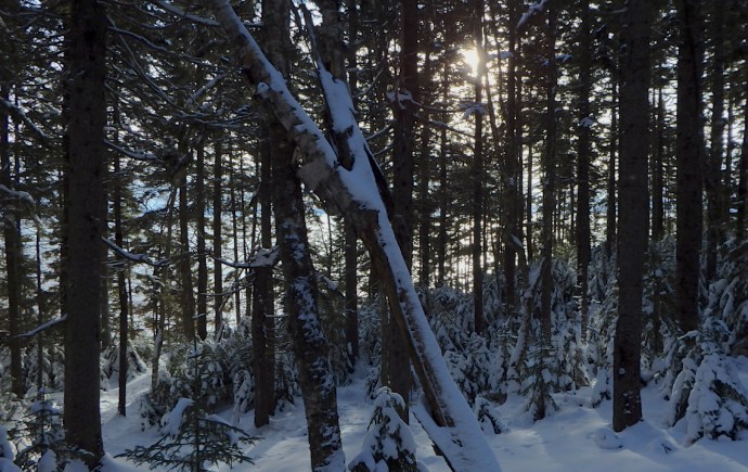 P1190034 - Version 2.jpg