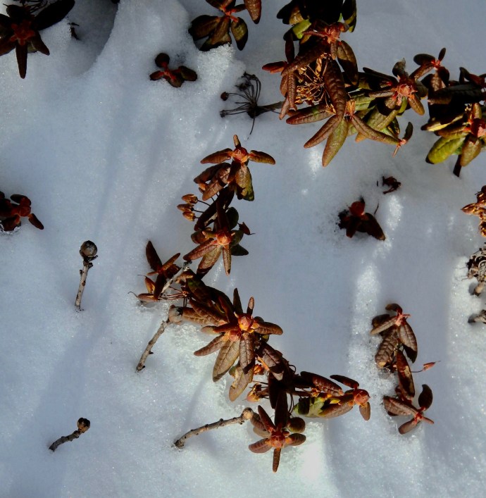 17-01-02 - 1 of 112 (10).jpg