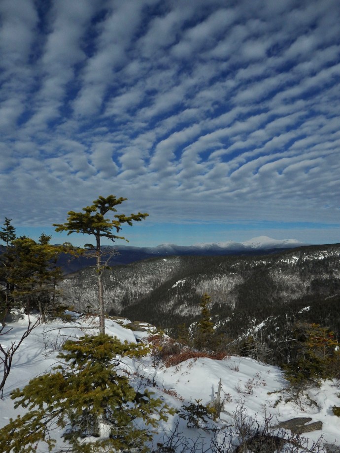 17-01-02 - 1 of 112 (12).jpg