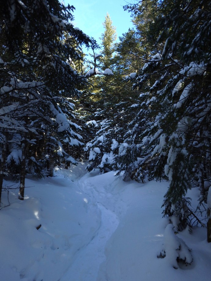 17-01-02 - 1 of 112 (32).jpg