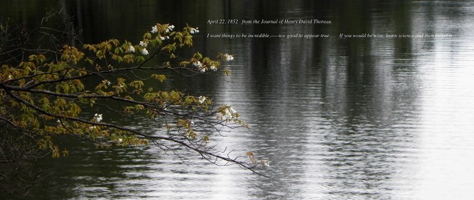 120422Thoreau.jpg