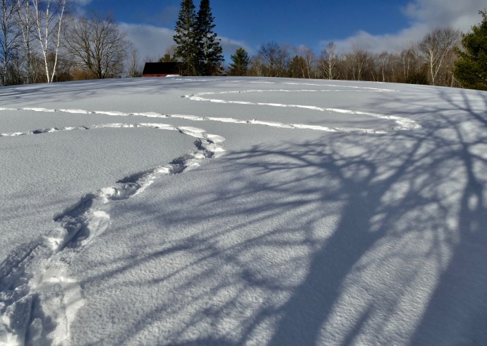 P1040608 6.24.30 AM.jpg