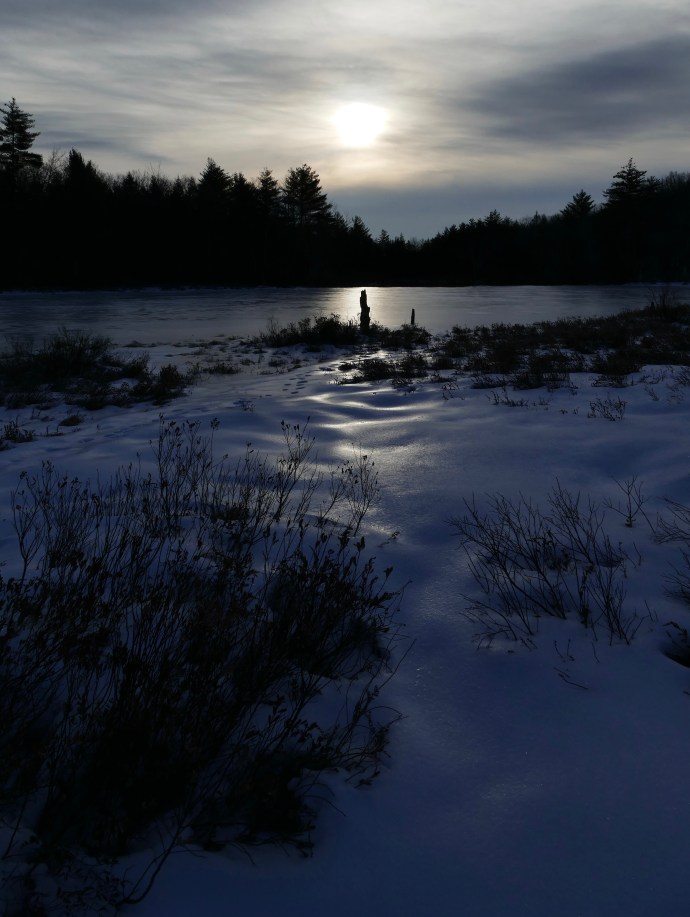 P1130741 6.00.13 AM.jpg