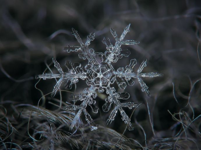 4-snowflake-dendrite.jpg