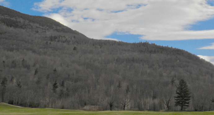 Screen Shot 2019-04-21 at 6.50.48 AM.png