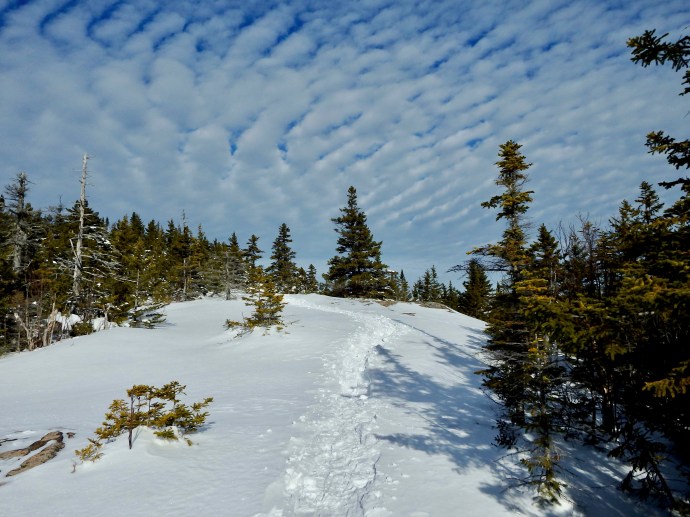 17-01-02 - 1 of 112 (104).jpeg