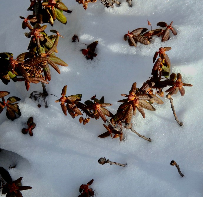 17-01-02 - 1 of 112 (10).jpeg